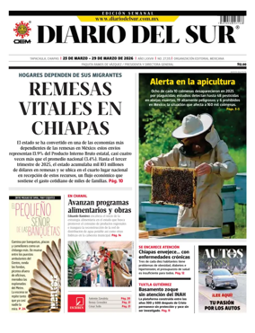 Cover of Diario del Sur