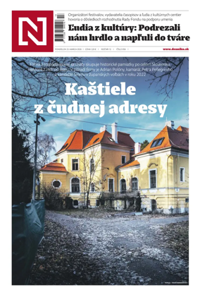 Cover of Dennik N