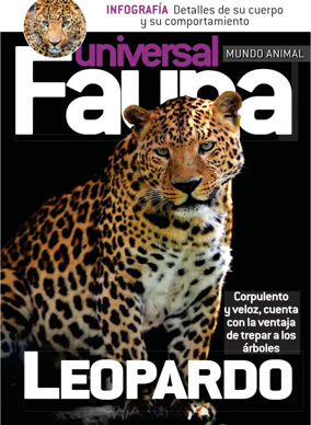 Cover of Fauna universal