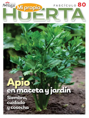 Cover of Huerta en casa