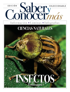 Cover of Saber y Conocer mas