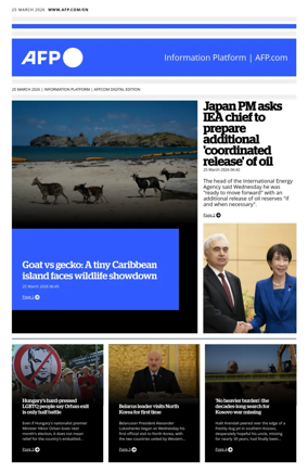 Cover of AFP English