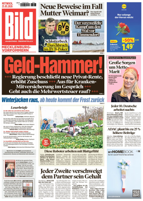 Cover of BILD Mecklenburg