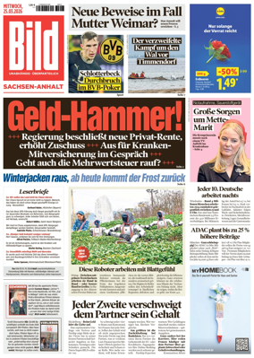 Cover of BILD Sachsen-Anhalt