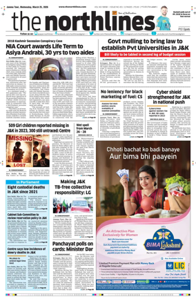 Cover of The Northlines