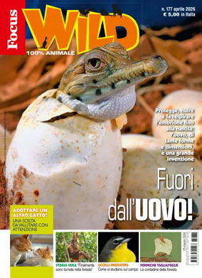 Cover of Focus Wild