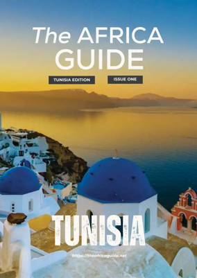 Cover of The Africa Guide