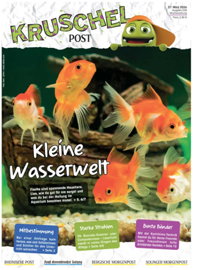 Cover of Kruschelpost