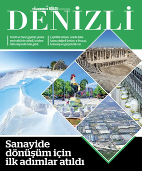 Cover of NBE - Bolge Ekleri