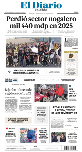 Cover of El Diario de Delicias