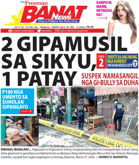 Cover of Banat News