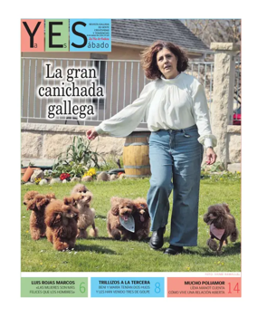 Cover of La Voz de Galicia (Pontevedra) - Yes