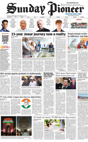 Cover of The Pioneer