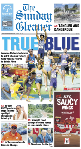 Cover of The Gleaner