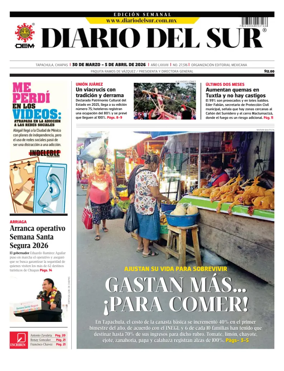 Cover of Diario del Sur