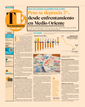 Cover of Termometro Economico