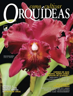 Cover of Como Cultivar Orquideas