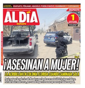 Cover of Periodico Al Dia (Irapuato)