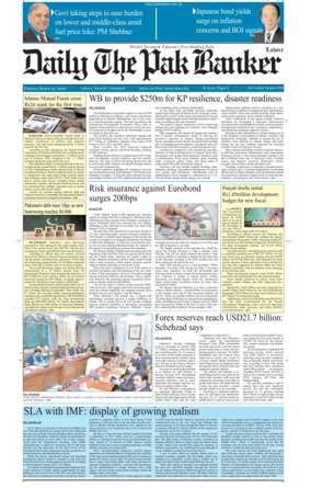 Cover of The Pak Banker