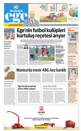 Cover of NBE - Ege Ekonomi