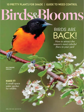 Cover of Birds and Blooms
