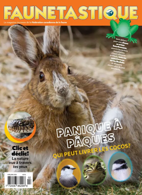 Cover of Faunetastique