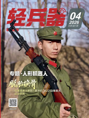 Cover of Small Arms