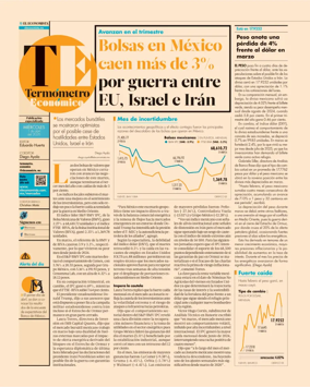Cover of Termometro Economico