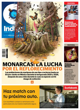 Cover of Reporte Indigo Nacional