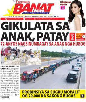 Cover of Banat News