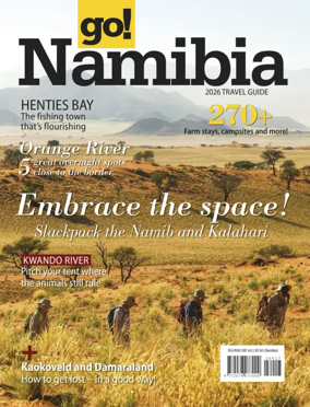 Cover of go! Namibia