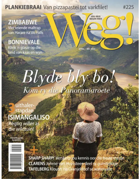 Cover of Weg!