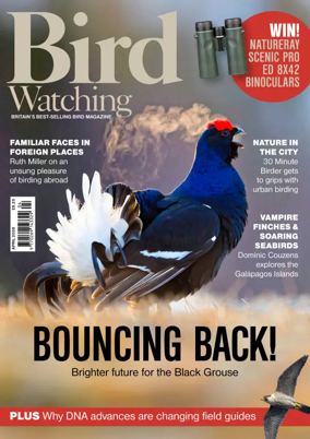 Cover of Bird Watching (UK)