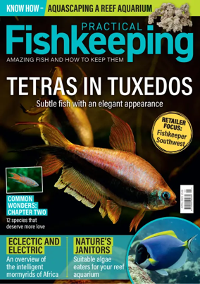 Cover of Practical Fishkeeping