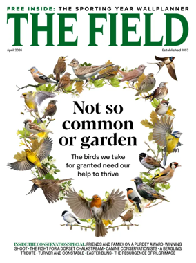 Cover of The Field