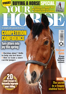 Cover of Your Horse (UK)