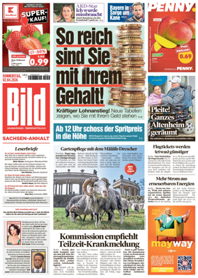 Cover of BILD Sachsen-Anhalt
