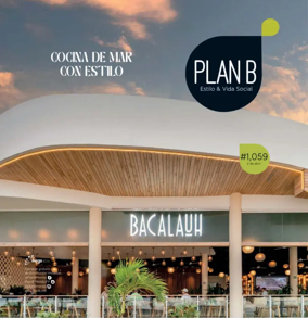 Cover of Plan B