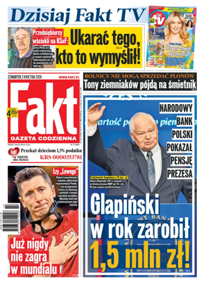 Cover of Fakt