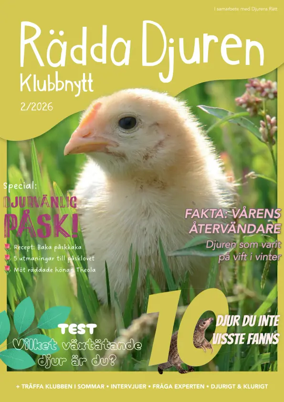 Cover of Radda Djuren