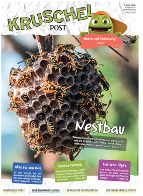 Cover of Kruschelpost