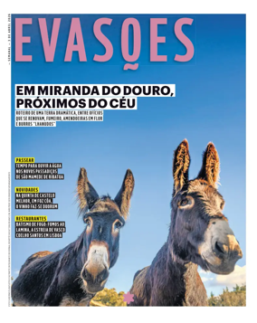 Cover of Evasoes