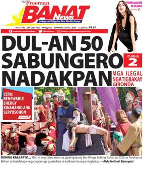 Cover of Banat News