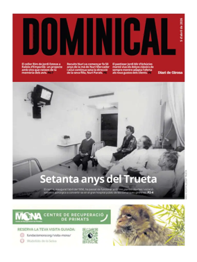 Cover of Dominical