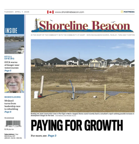 Cover of Shoreline Beacon