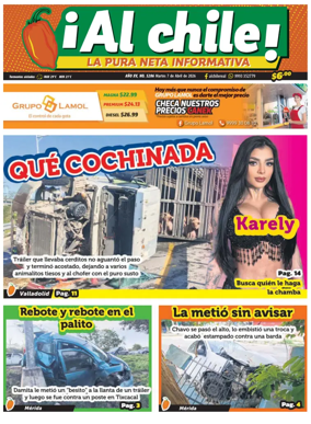 Cover of Al chile