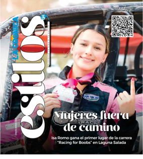 Cover of Estilos GH