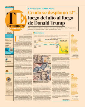 Cover of Termometro Economico
