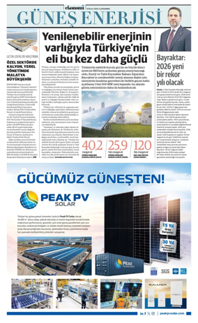 Cover of NBE - Sektor Ekleri