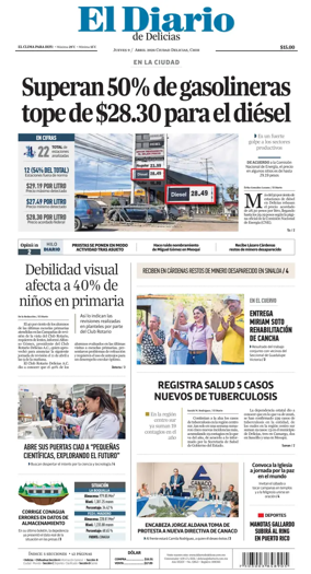 Cover of El Diario de Delicias